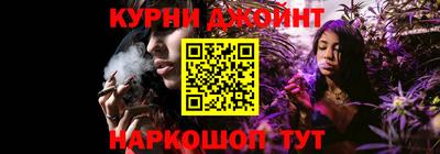 дмт Ставрополь