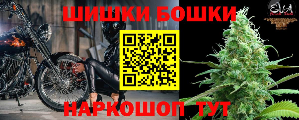 Конопля гибрид Можга